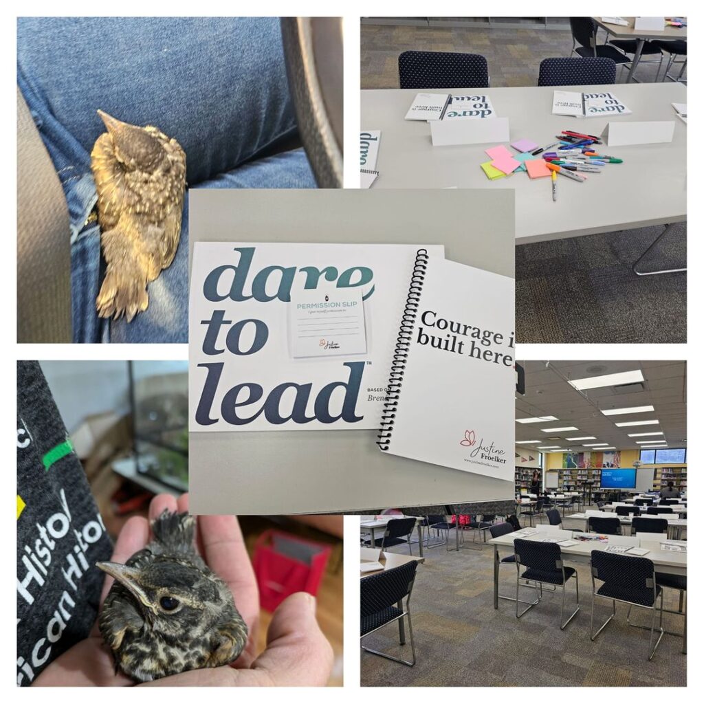 Dare to Lead training materials and class setup