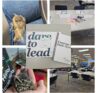 Dare to Lead training materials and class setup