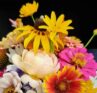 Bouquet of wildflowers