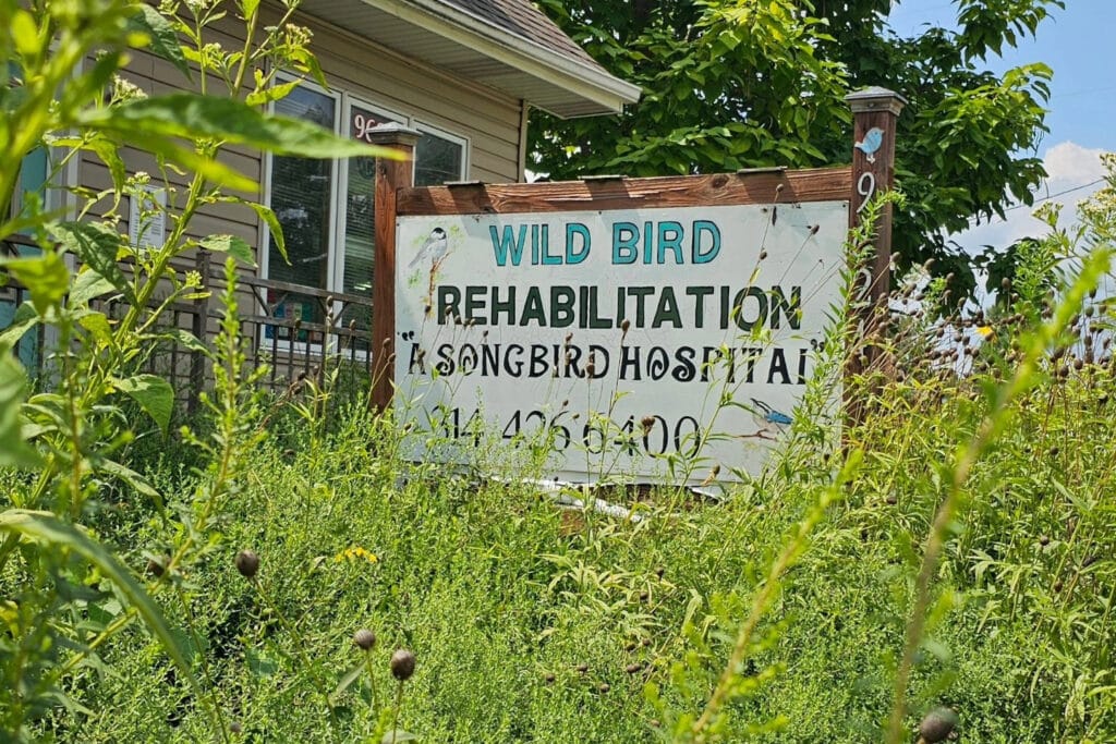 Wild Bird Rehabilitation A Songbird Hospital sign