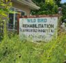 Wild Bird Rehabilitation A Songbird Hospital sign