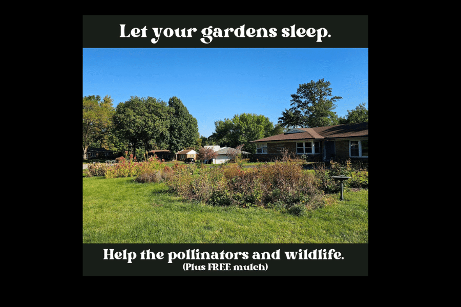 Picture of a brown garden with Let your gardens sleep. Help the pollinators and wildlife.