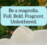 Be a magnolia. Full. Bold. Fragrant. Unbothered.