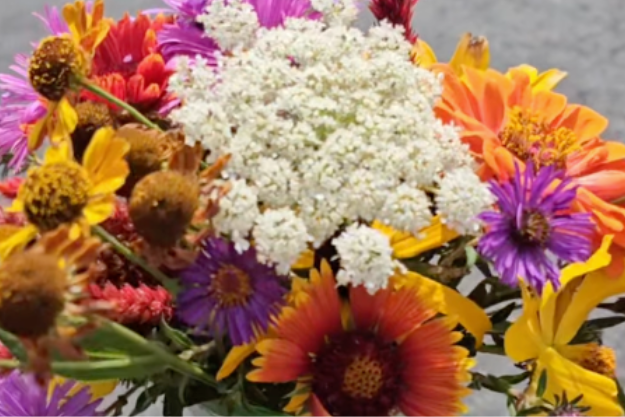 Like this bouquet, I want to tend to what is here and also trust what is still to come.